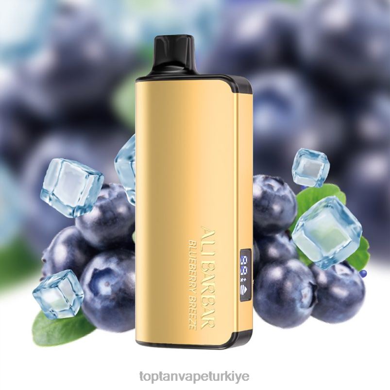 Vape Türkiye 2640632 Alibarbar Ingot 20000 tek kullanımlık vape yaban mersini esintisi
