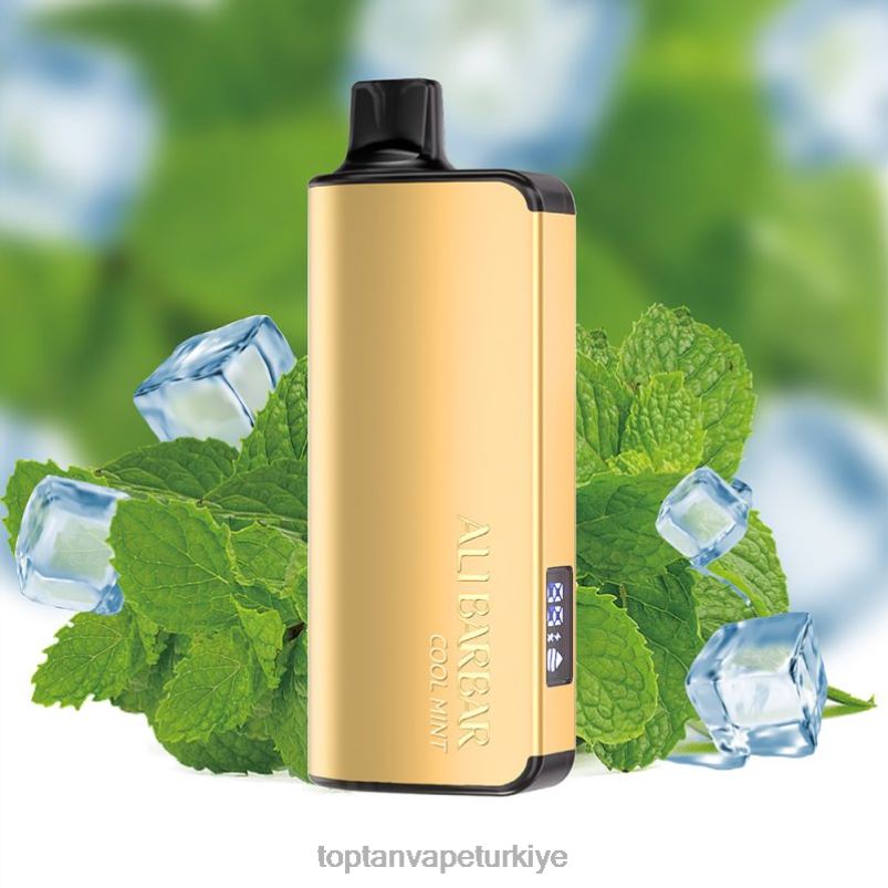 Vape Toptan Satış 2640635 Alibarbar Ingot 20000 tek kullanımlık vape serin nane