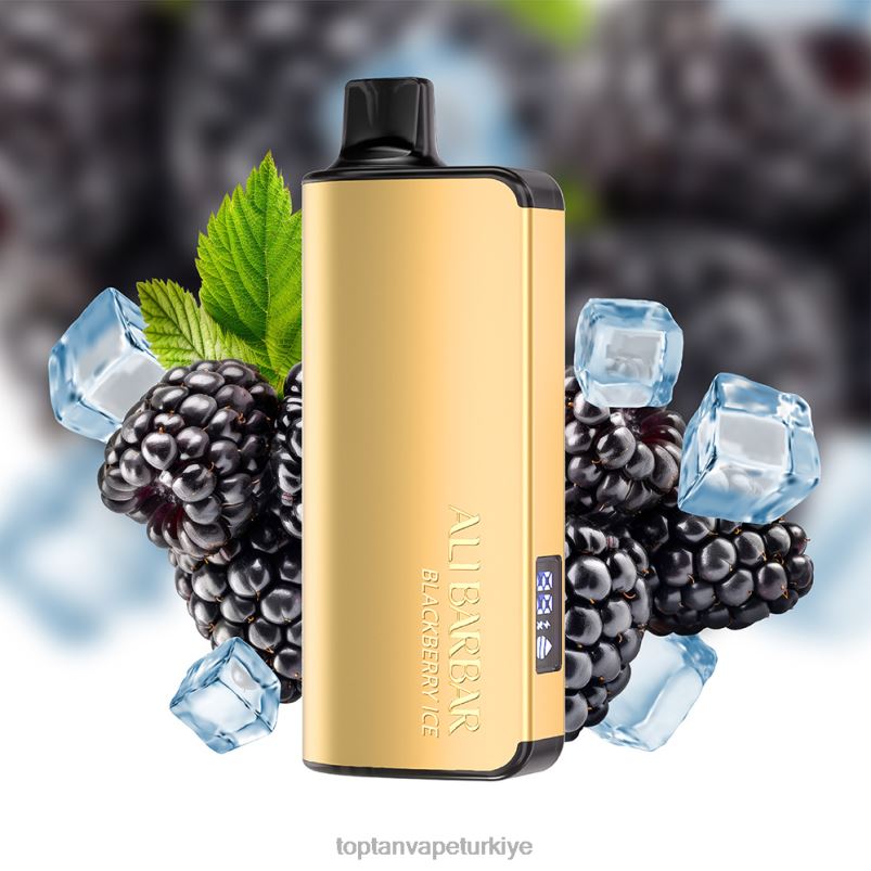 Toptan Vape Türkiye 2640625 Alibarbar Ingot 9000 tek kullanımlık elektronik sigara tütün