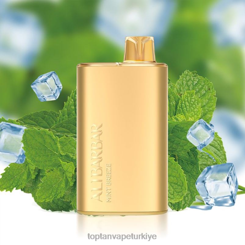 Vape Türkiye 264068 Alibarbar Rich 8000 tek kullanımlık vape nane esintisi