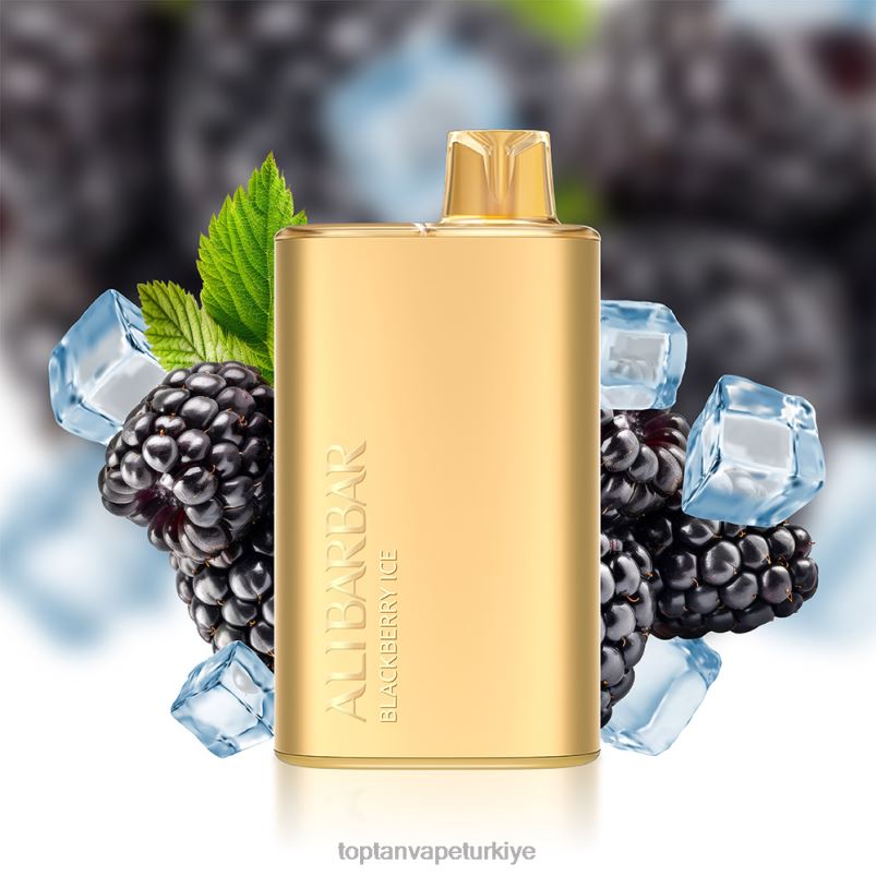 Vape Toptan Satış 264063 Alibarbar Rich 8000 tek kullanımlık vape yaban mersinli buz