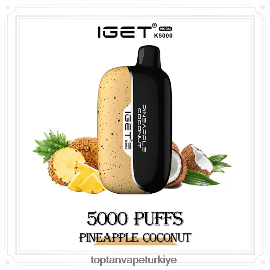 ananas hindistan cevizi