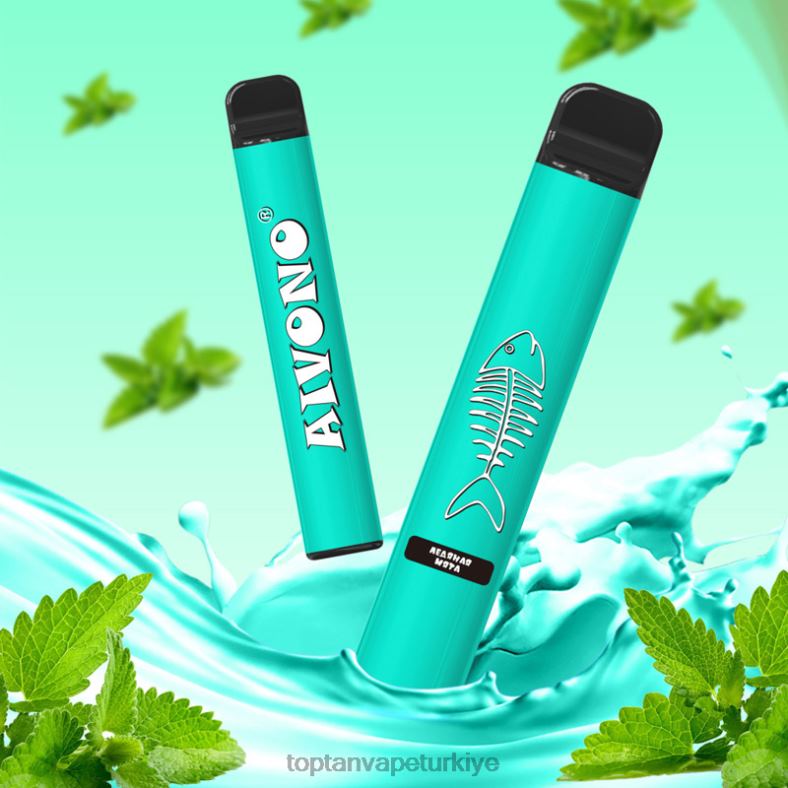 Aivono AIM FISHBONE 600 serin nane - 8826J278 Türkiye'De Vape