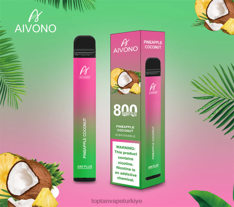 ananas hindistan cevizi