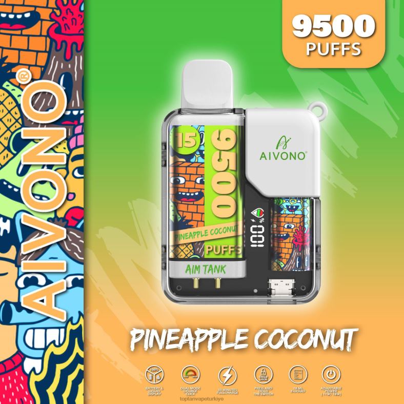 ananas hindistan cevizi