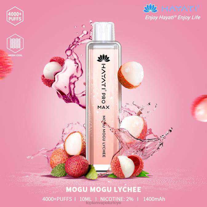 mogu mogu liçi