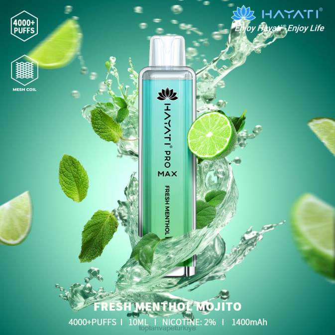 taze mentol mojito