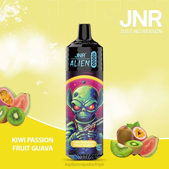 kivi çarkıfelek meyvesi guava