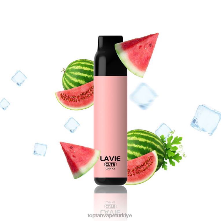 LAVIE BAR 3000 nefes 246VL285 | Vape Türkiye Satış yemyeşil buz