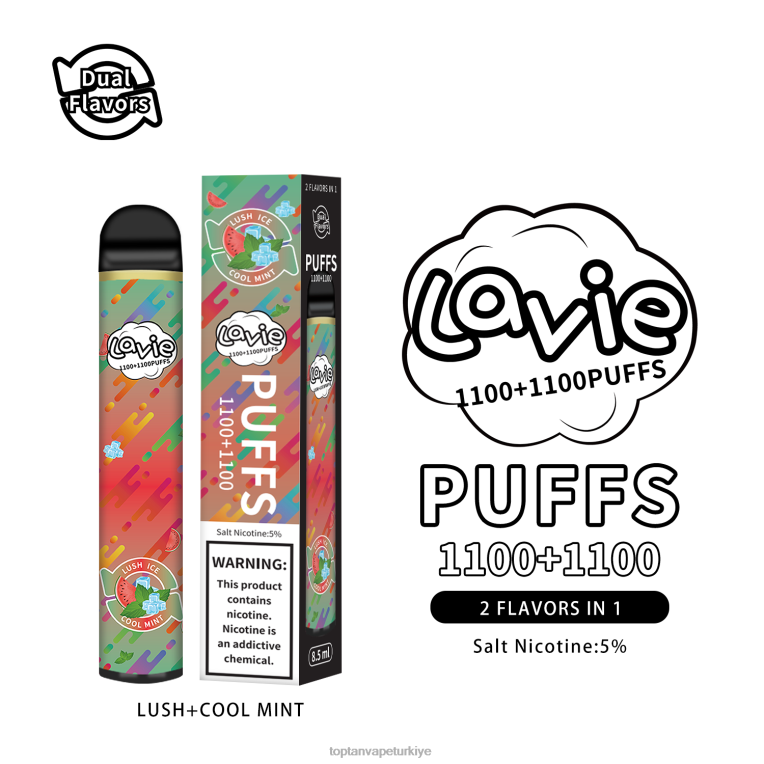 LAVIE BAR Switch 2200 nefes 246VL294 | Türkiye'De Vape bereketli/soğuk nane