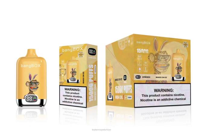 buz üzerinde mango