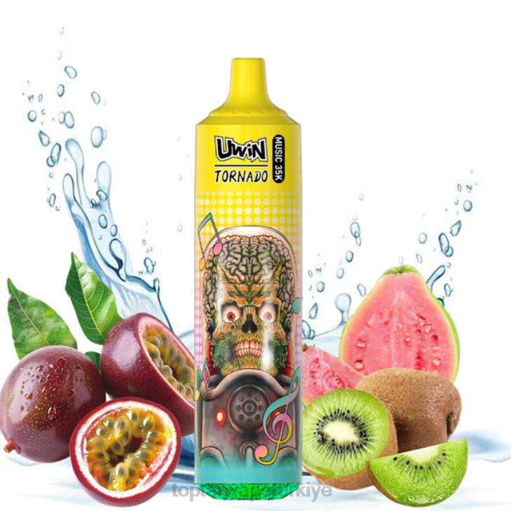 kivi çarkıfelek meyvesi guava