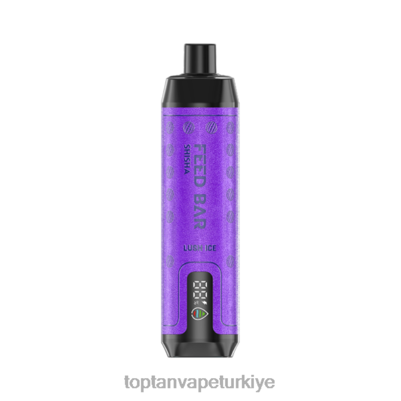 Türkiye'De Vape 26406102 Vapsolo SHISHA tek kullanımlık elektronik sigara yemyeşil buz