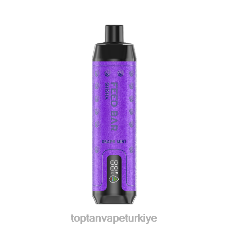 Toptan Vape 26406100 Vapsolo SHISHA tek kullanımlık elektronik sigara üzüm nane