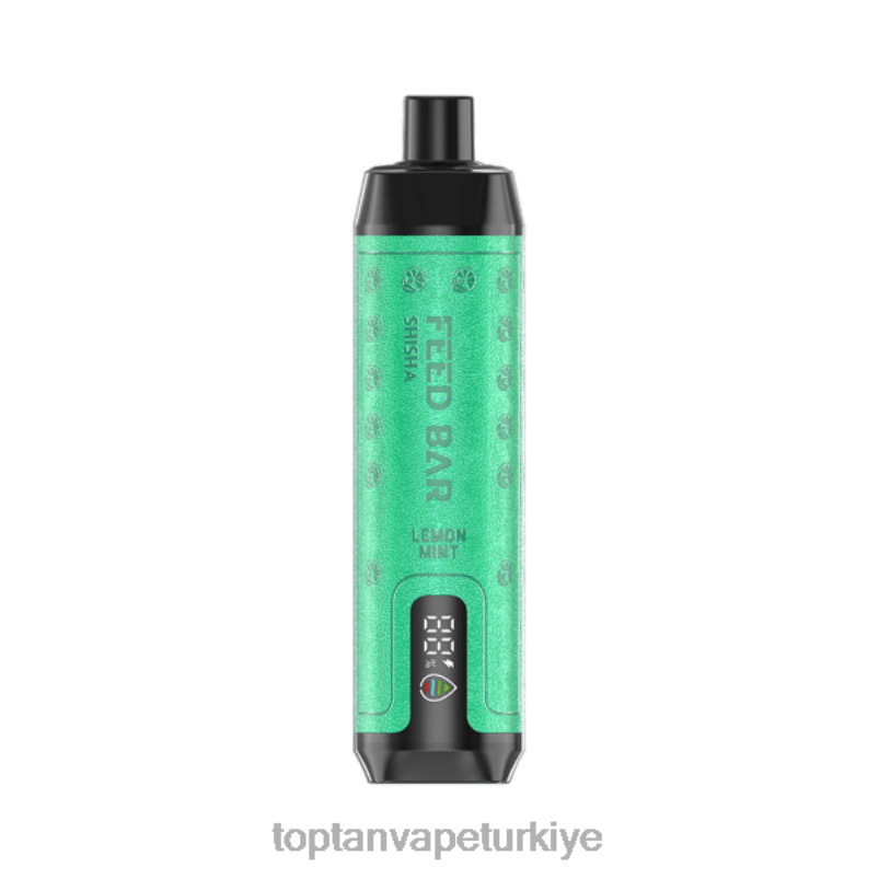 Vape Türkiye Satış 26406101 Vapsolo SHISHA tek kullanımlık elektronik sigara limon nane