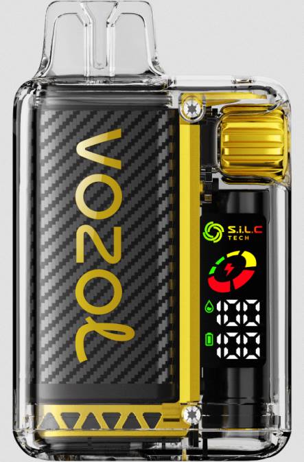 Vape Türkiye satış - mango buzu 86VR10 VOZOL VISTA 16000/20000 %5